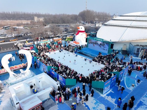 伍祥配资 国庆“破冰”，全国首秀！哈尔滨极地公园“淘学企鹅”十一超前开启国庆大巡游，规模空前玩法升级！