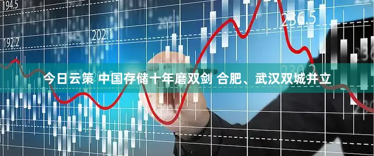 今日云策 中国存储十年磨双剑 合肥、武汉双城并立